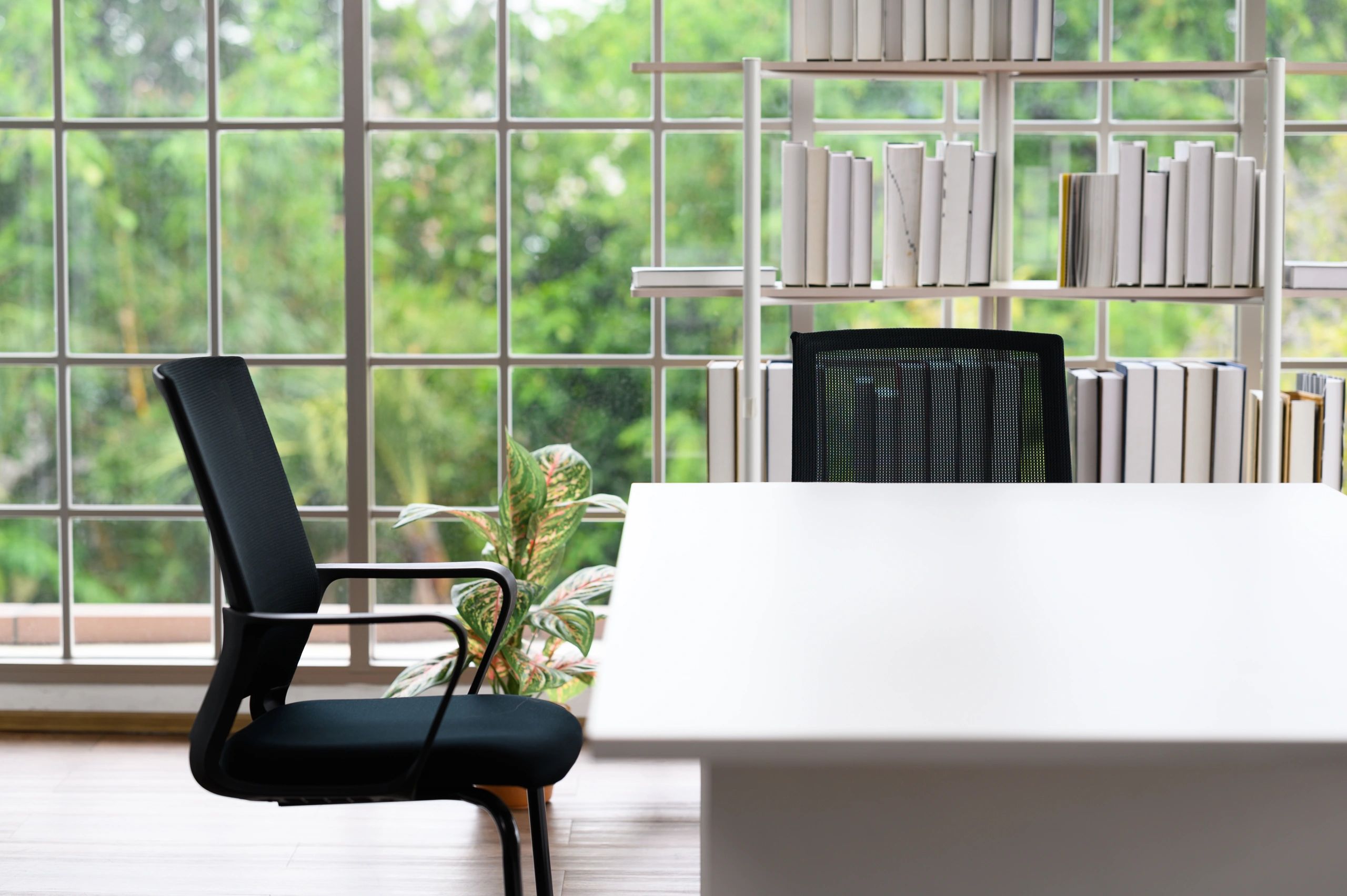 Calm desk corner with chair, bookshelf, and natural light