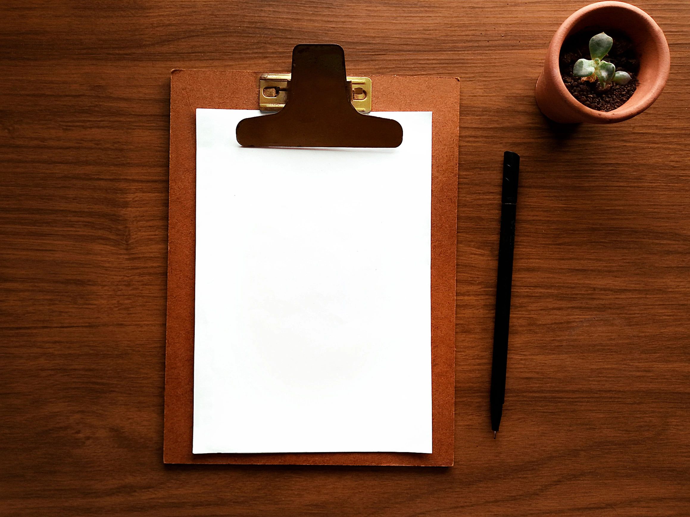 Clipboard and plant styled on a wooden desk